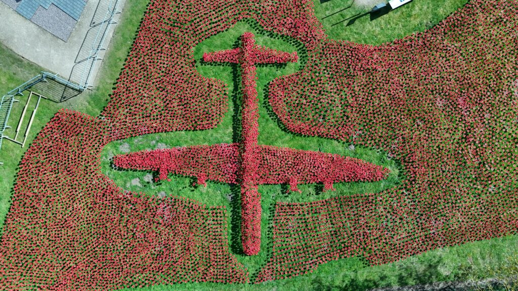 colour aerial photo of poppies at a memorial